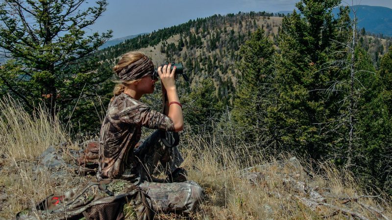 Finding Rocky Mountain Elk
