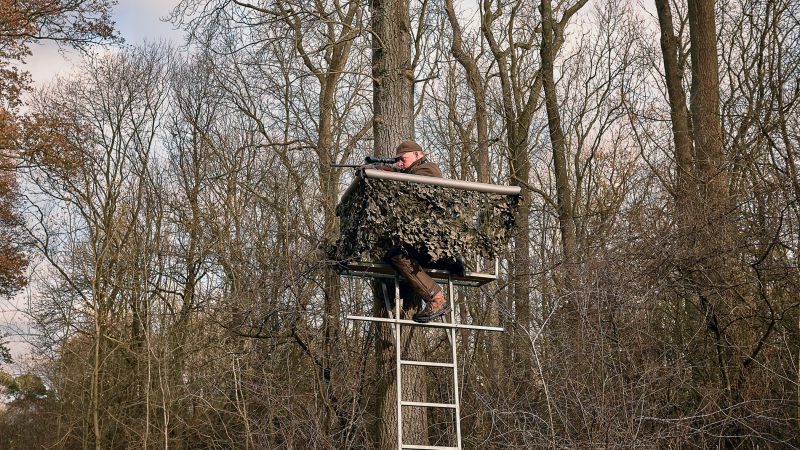 UK Deer Series