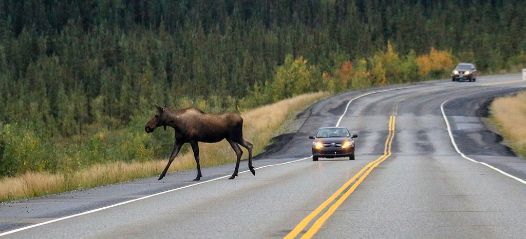 The Road to Adventure - Alaskan/ hotsell Canadian Highway (AlCan)