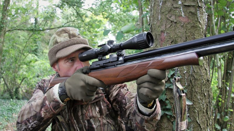 Mat Manning Early Autumn Squirrel Hunting