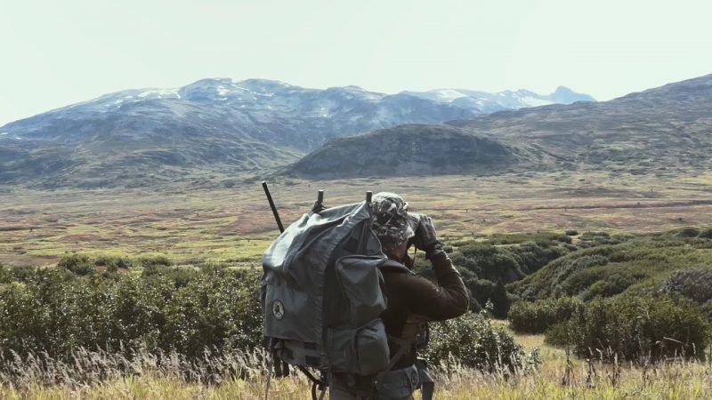 Into the wilderness
