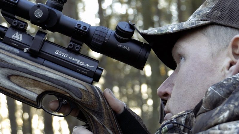Squirrel Airgun Hunt