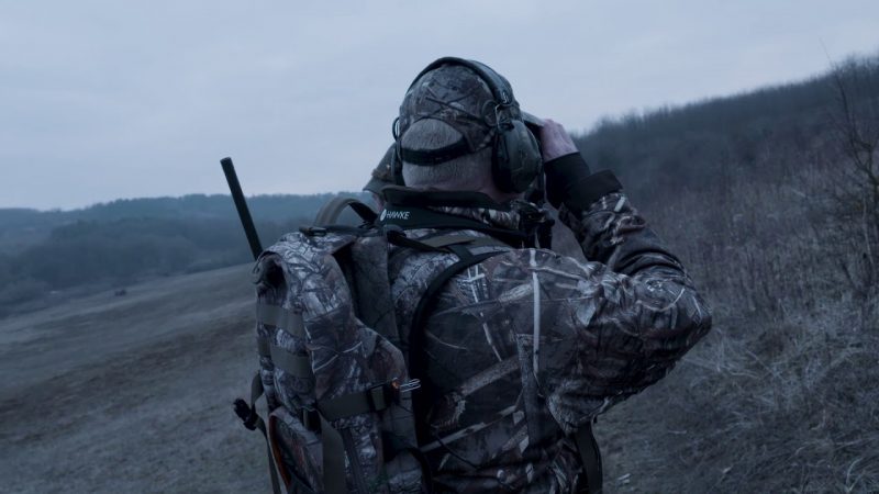 Wild Boar Hunting in Hungary : Stalking